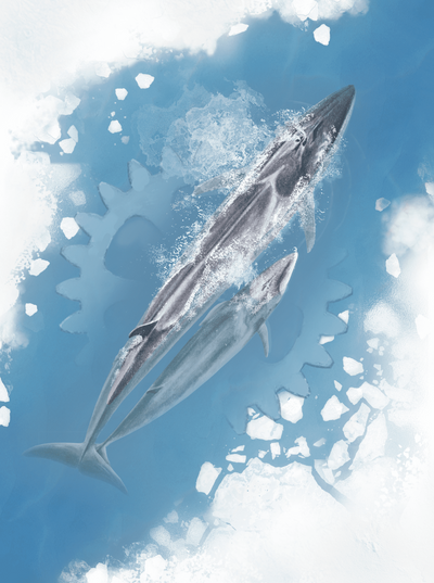 Arctica: Collector Edition (Kickstarter Pre-Order Special) Kickstarter Board Game This Way KS002294A