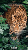 Earth: Animal Kingdom Plus Kickstarter Gift (Kickstarter Pre-Order Special) Kickstarter Board Game Expansion Inside Up Games KS002035A