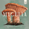 Mycelia: Deluxe Edition (Kickstarter Pre-Order Special) Kickstarter Board Game Split Stone Games KS001565A