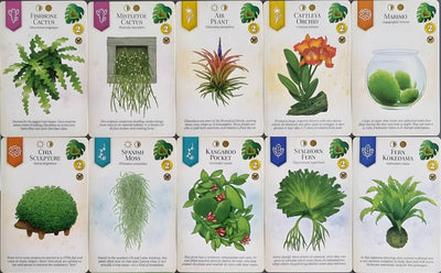 Verdant: Card Game Plus Potless Plants Mini-Expansion (Kickstarter Pre-Order Special) Kickstarter Card Game Flatout Games 729220071392 KS001187A