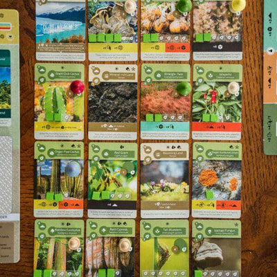 EART Inside Up Games KS001221A