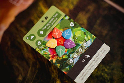 EART Inside Up Games KS001221A